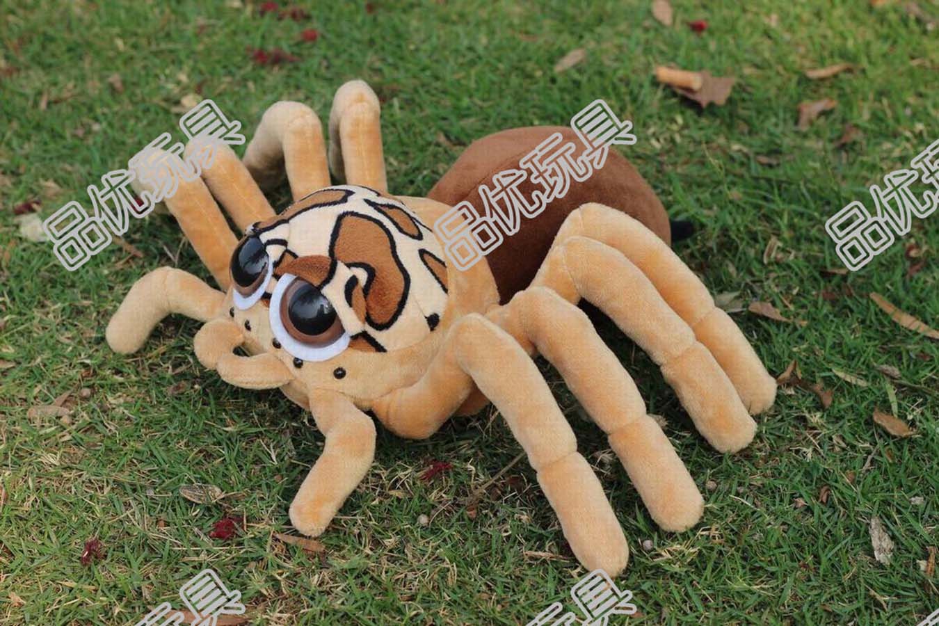 豹紋蜘蛛 豹紋蜘蛛